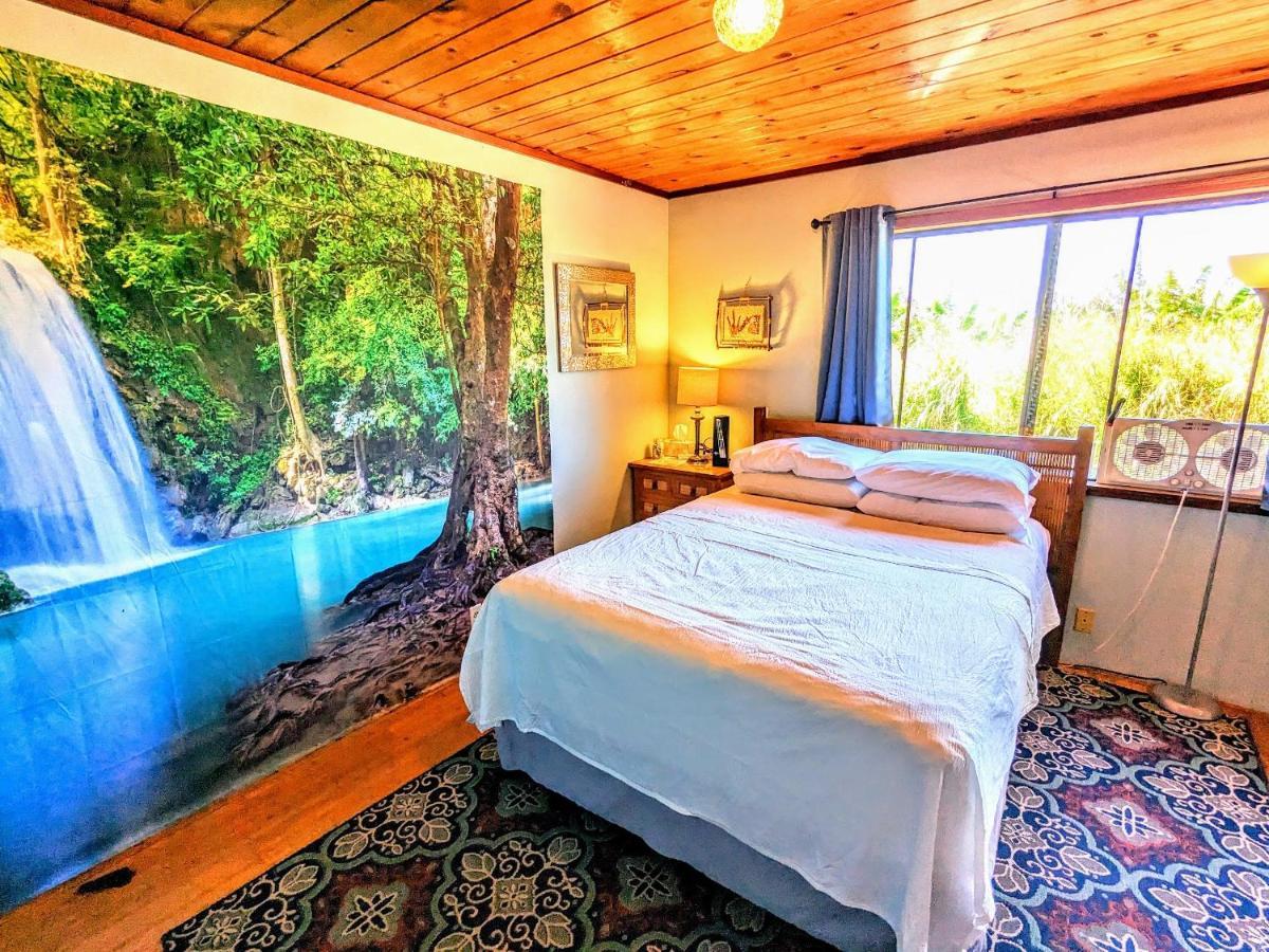 Hamakua Guesthouse Pepeekeo المظهر الخارجي الصورة